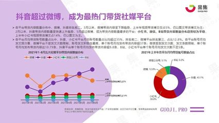 01內容型社交電商發(fā)展概況